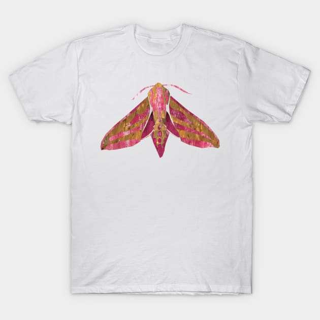 Elephant Hawk Moth T-Shirt by Babban Gaelg